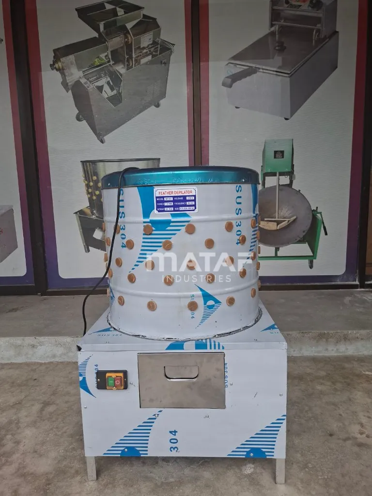 photo_6145284605381120006_y (1).webp